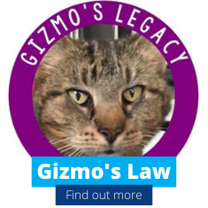 Gizmo's Law